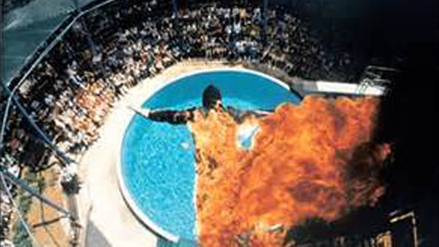 Surviving A 100-Foot Leap On Fire Was Just The Beginning