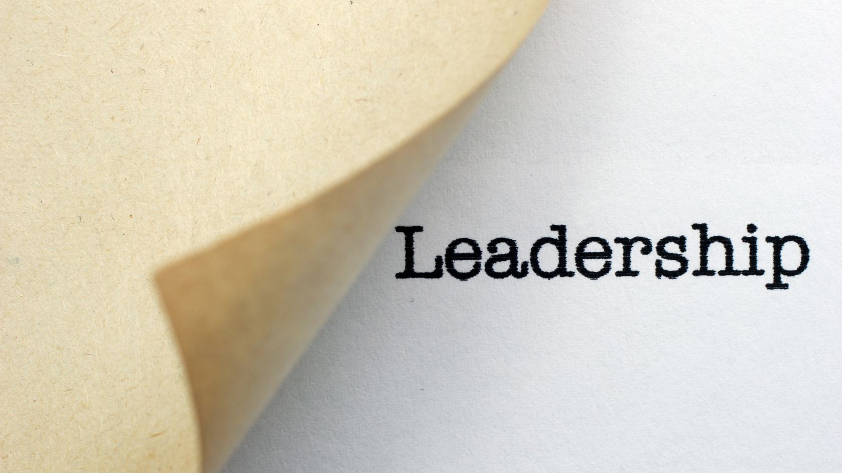 Leadership Opportunity Blog Fest