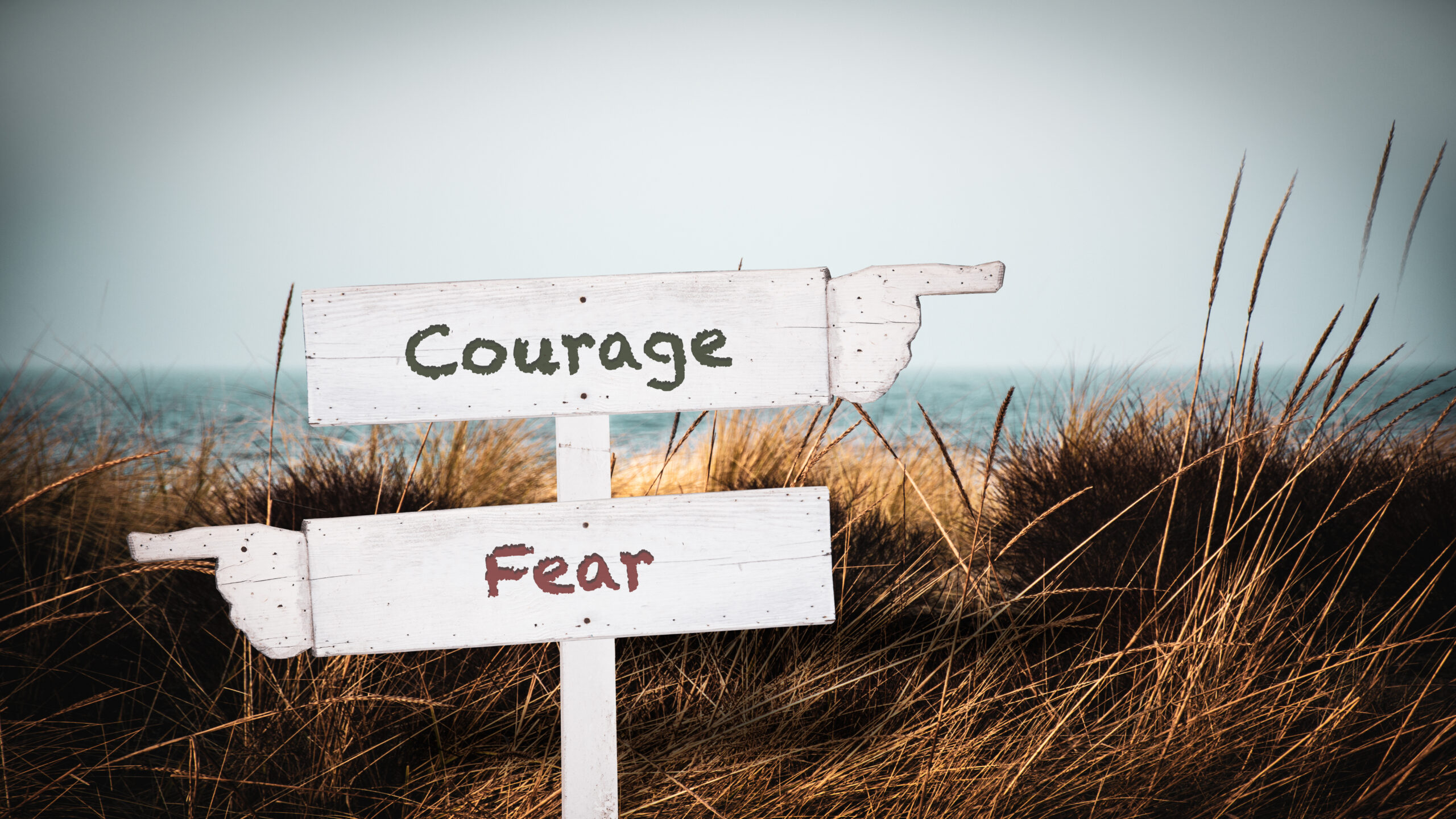 choose courage over fear