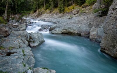 Ebbing Causes Problems for Many Mid-Career Leaders